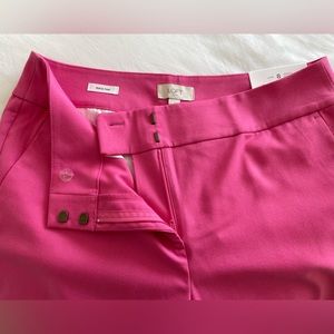 Loft Pencil Pant